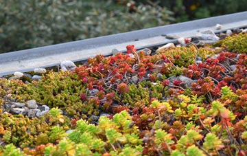 the cost of Shotwick green roof installation