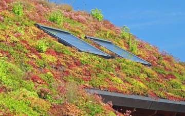 Shotwick living roof systems